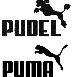 Puma verslindt Pudel